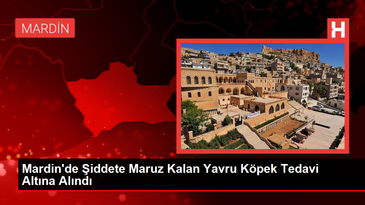 Mardin'in Kızıltepe ilçesinde şiddete