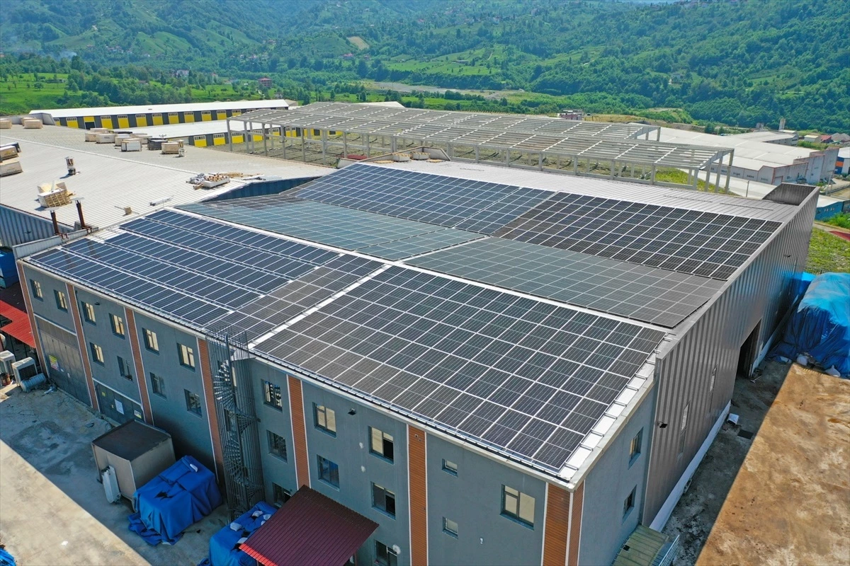 Rize’de Çay Çöpünden Mangal Kömürü Üreten Tesiste Güneş Panelleriyle Elektrik Üretimi Başladı