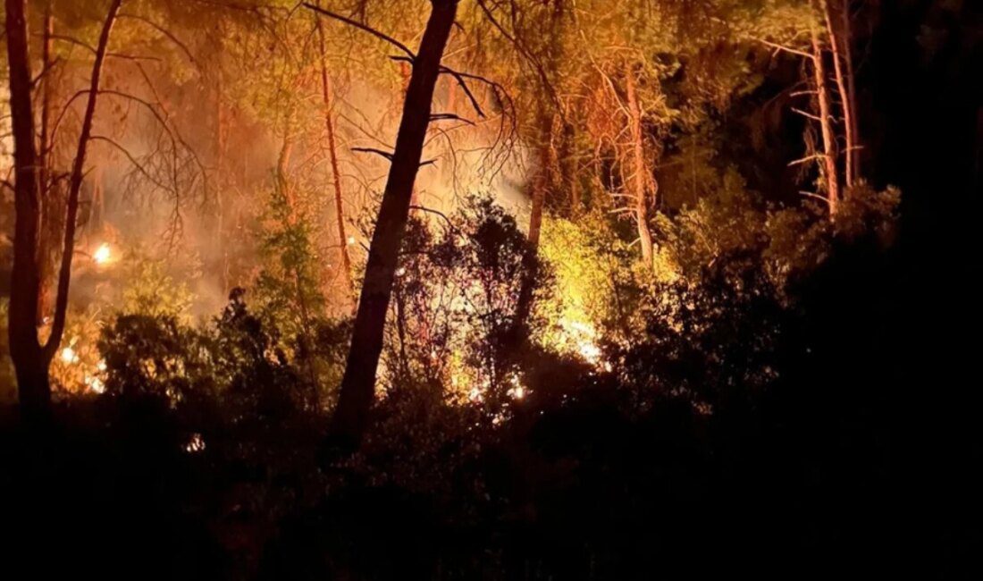Adana İmamoğlu’nda çıkan orman yangını denetim altına alındı