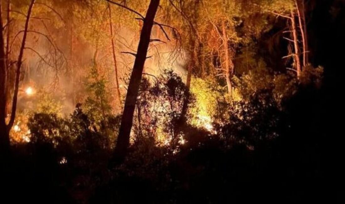 Adana’da orman yangını çıktı