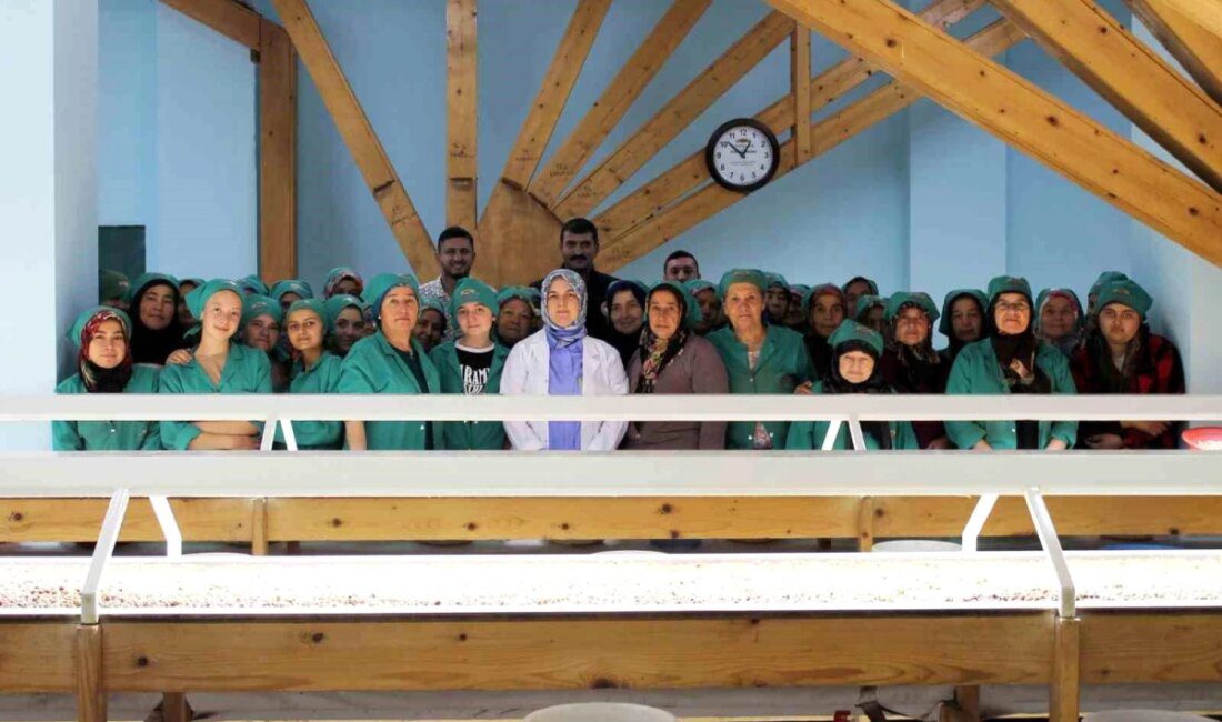 Düzce Tarım ve Orman Vilayet Müdürü Esra Uzun, Yığılca’da fındık ihracatı yapan tesisi ziyaret etti