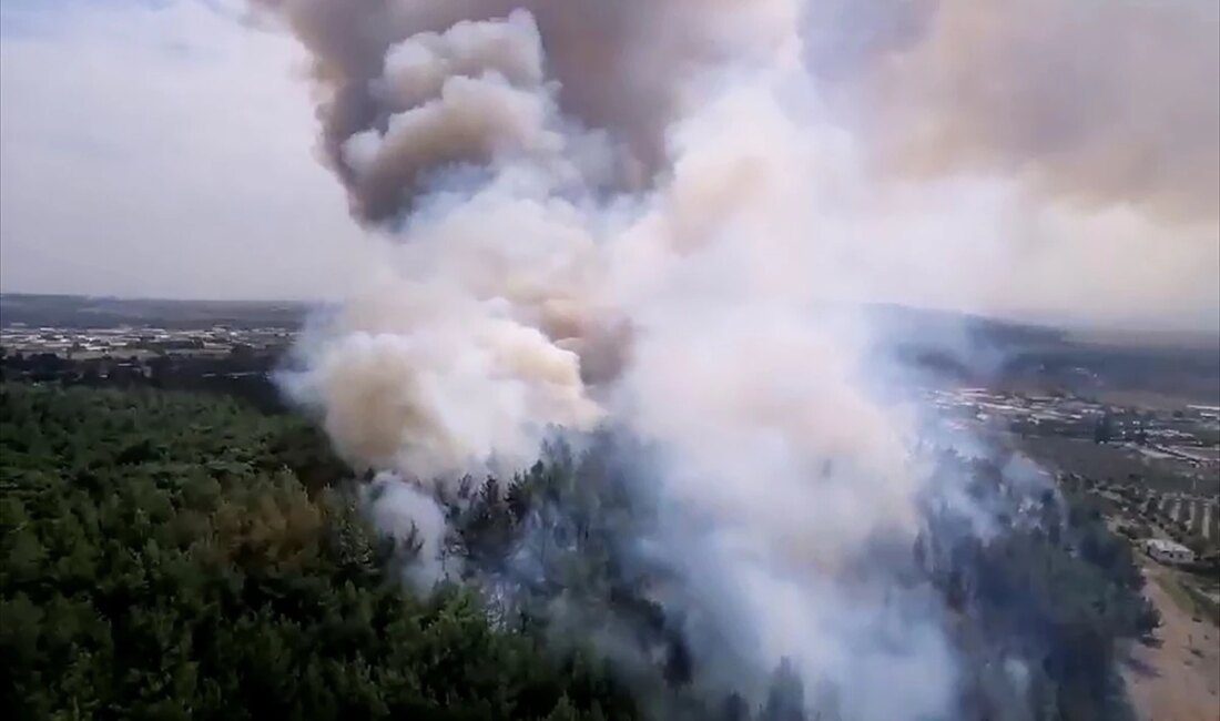 İzmir Gaziemir’deki Orman Yangınına Grupların Müdahalesi Sürüyor