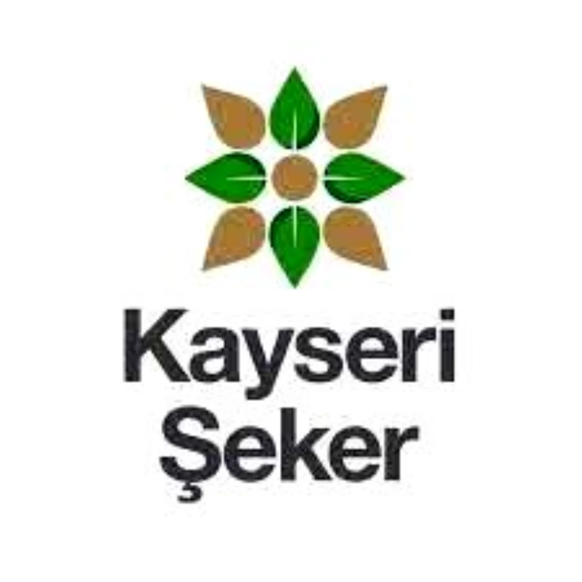CHP Kayseri Vilayet Lideri